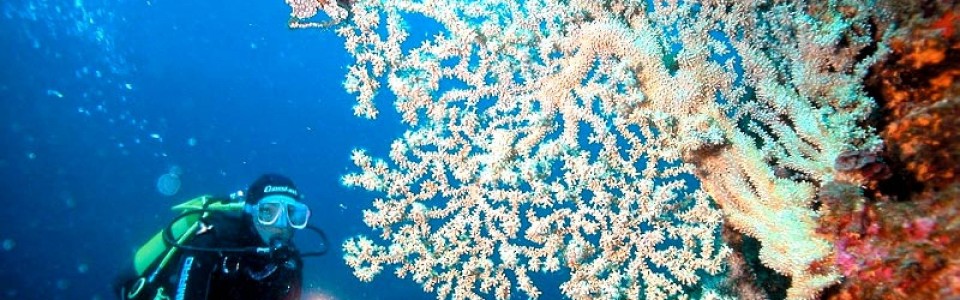 Профессиональное водолазное оборудование снаряжение для дайвинга водолазные костюмы аксессуары ножи для подводной охоты Польша
